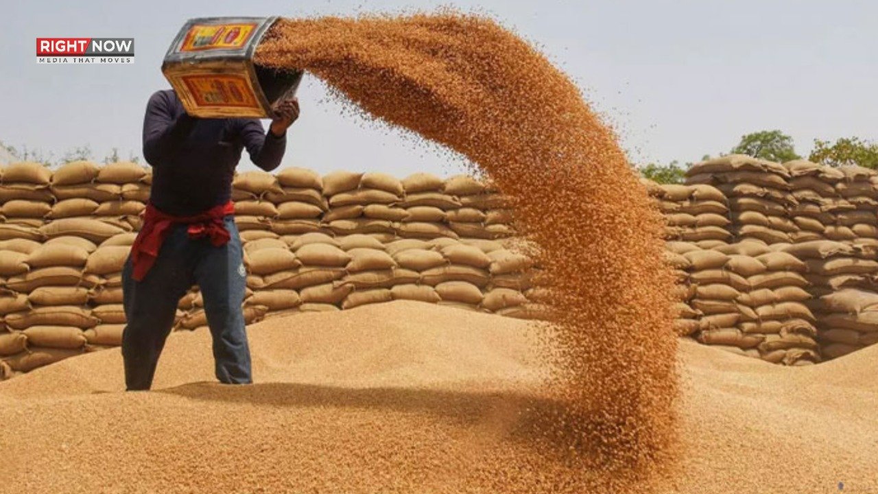 پنجاب حکومت کا گندم سپلائی پرمٹس معطل، ملک بھر میں آٹے کی قلت کا خطرہ