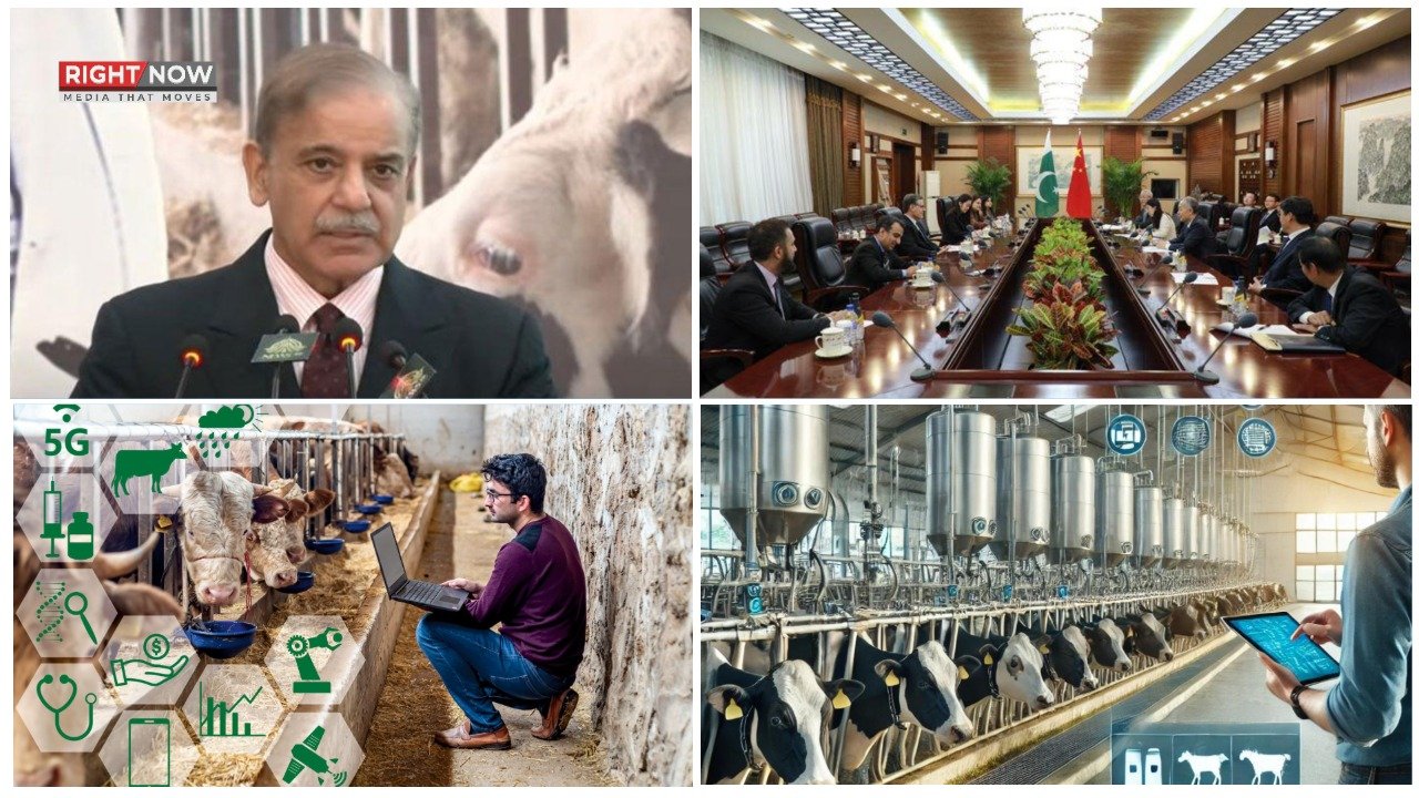 وزیراعظم شہباز شریف کا جدید ٹیکنالوجی سے لائیو اسٹاک میں انقلاب کا اعلان، چینی تعاون پر زور