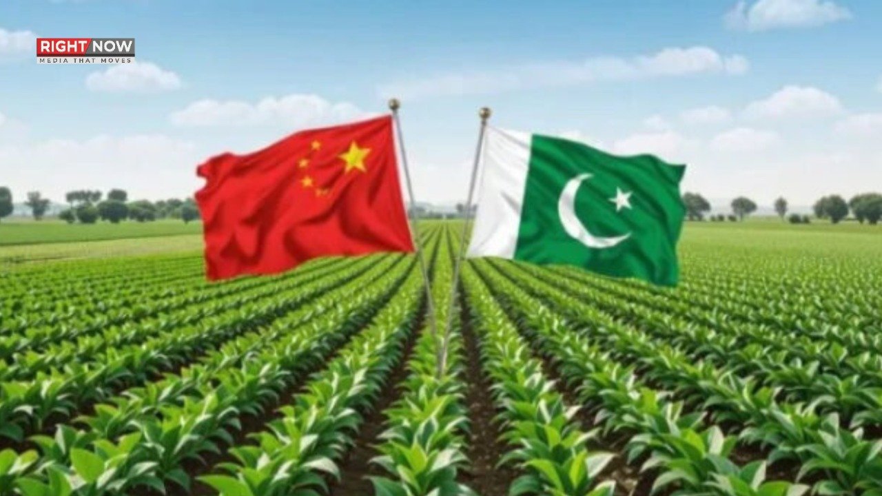 پاکستان اور چین کی فارما صنعت میں 440 ملین ڈالر کی نئی شراکت داری
