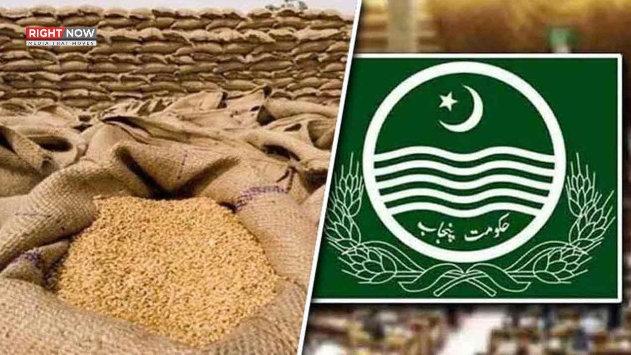 وفاقی حکومت کا 10 لاکھ ٹن گندم درآمد کرنے کا فیصلہ، مارکیٹ استحکام کا اقدام