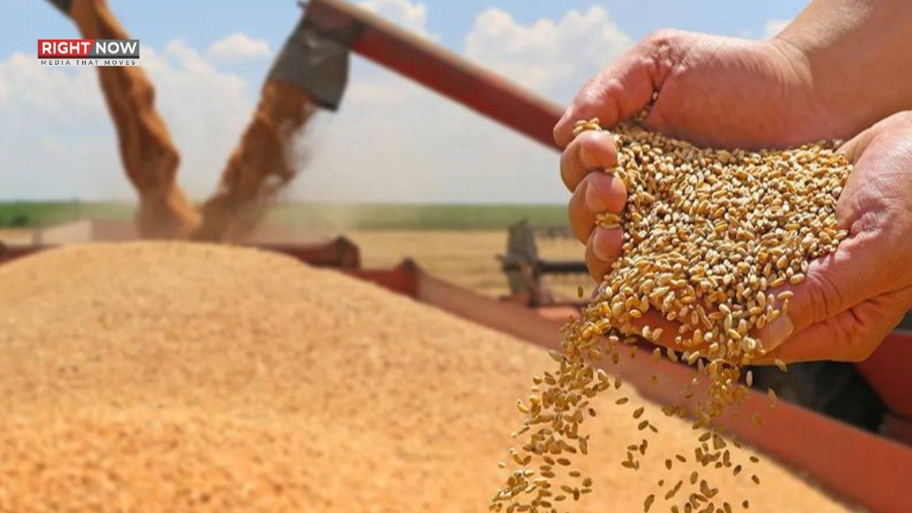 فلور ملز ایسوسی ایشن کا سستی گندم درآمد کی اجازت کا مطالبہ، حکومتی پالیسی پر تنقید