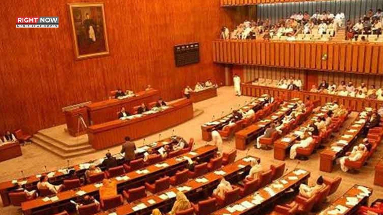 سینیٹ کمیٹی کا نیپرا سے آئی پی پیز کی تفصیلات طلب، اربوں کے چارجز کا انکشاف