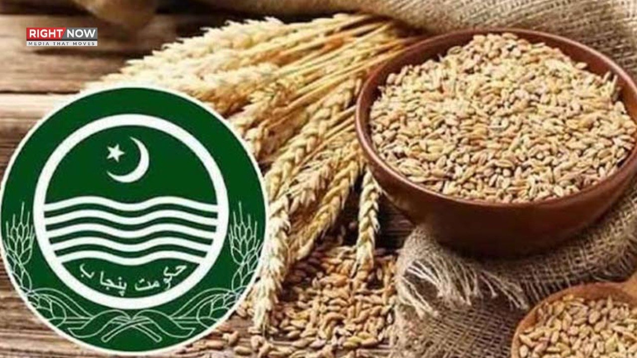 پنجاب حکومت نے گندم کی ریلیز پرائس مقرر کی، نوٹیفکیشن جاری