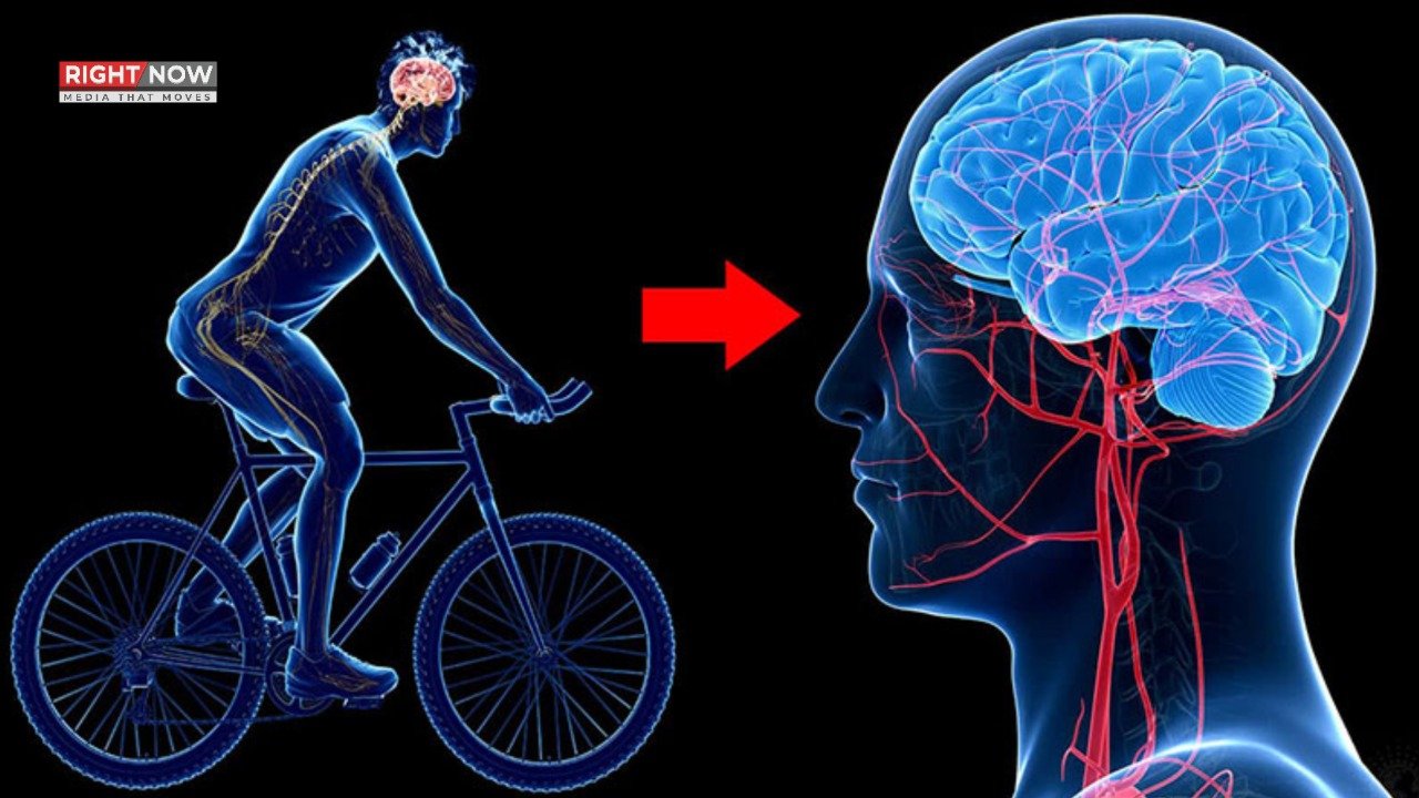 ورزش کا دماغی صحت پر مثبت اثر، نئی تحقیق کے اہم نتائج