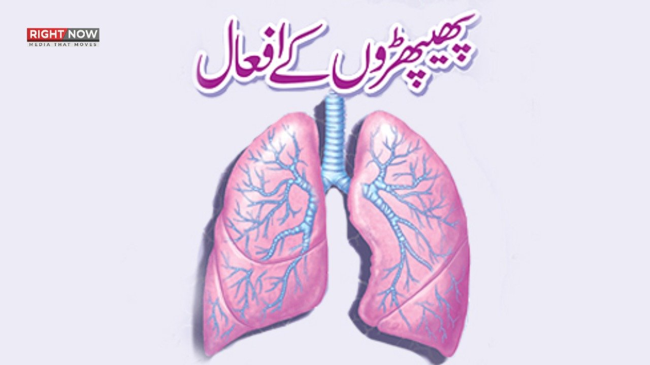 ایک پھیپھڑے کے ساتھ زندگی ممکن، ماہرین صحت نے وضاحت پیش کر دی