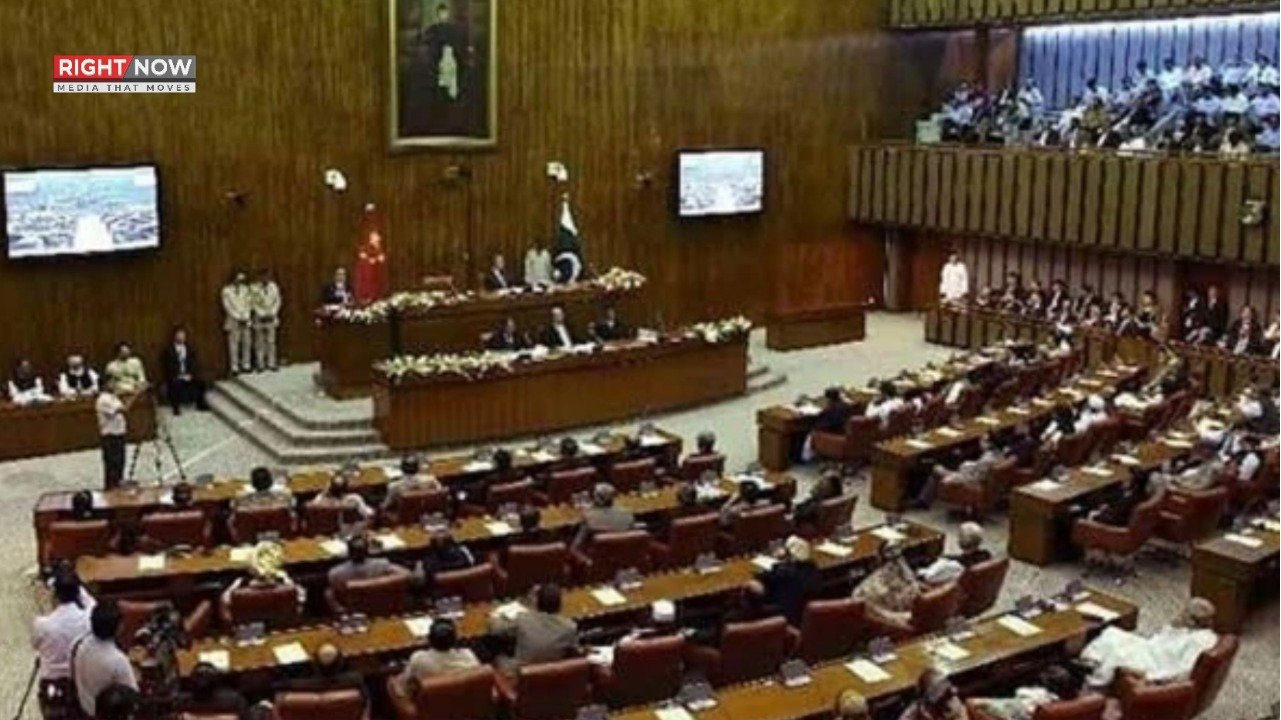 زائد لاگت کے باعث چاول و دیگر برآمدات میں کمی، سینیٹ کمیٹی کا اظہار تشویش