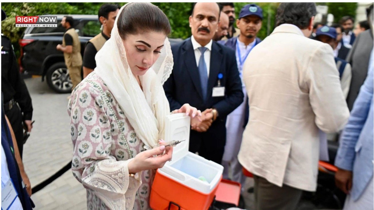 پنجاب وائلڈ لائف کا تحفظ، دنیا کے لیے مثال: مریم نواز