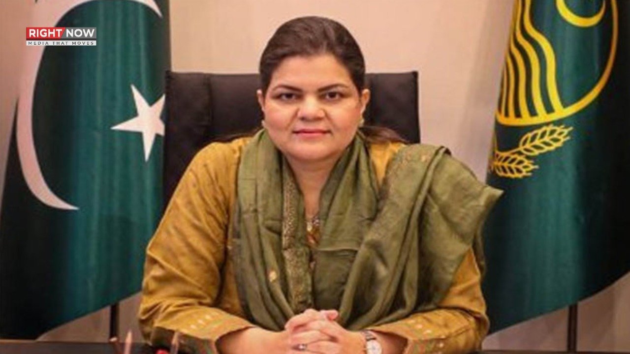 پنجاب اسمبلی کی رکن سلمیٰ بٹ صوبائی وزیر مقرر، نوٹیفکیشن جاری
